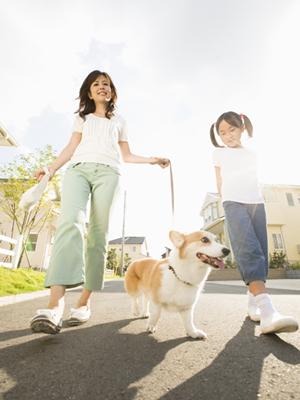 エクセルコダイヤモンドアイネス福山店: 特別な瞬間を彩る結婚指輪・婚約指輪
