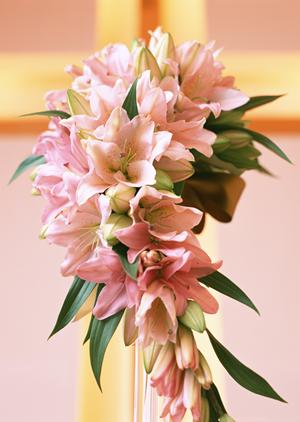 富山店｜婚約指輪・結婚指輪・ダイヤモンド ブランド